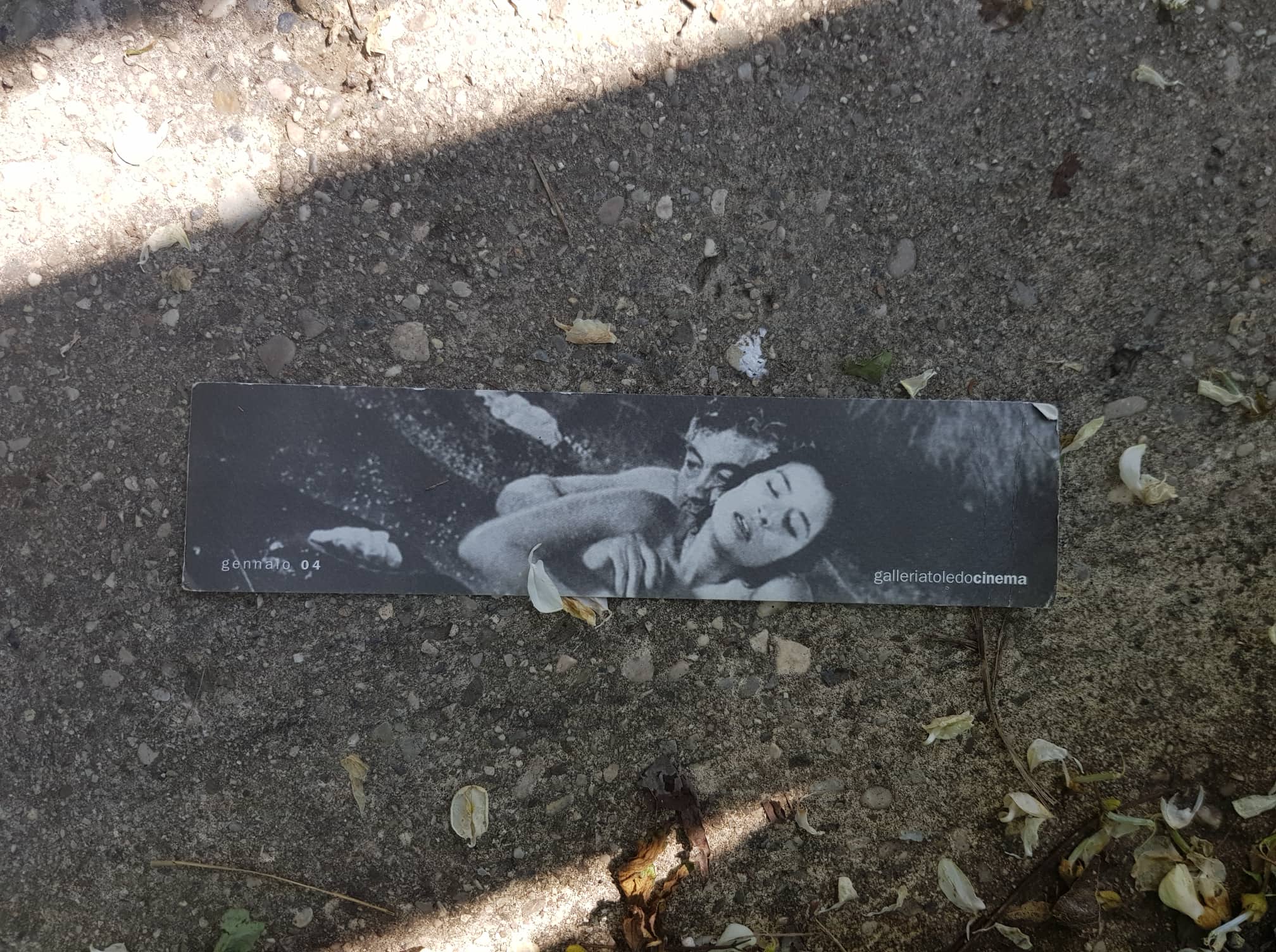 59698888_334723263900612_5458089755956740096_n